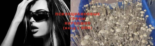 a pvp Арсеньев