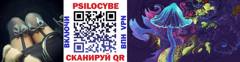 Псилоцибиновые грибы Psilocybe  где купить   Баксан 