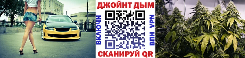 Конопля индика  Баксан 